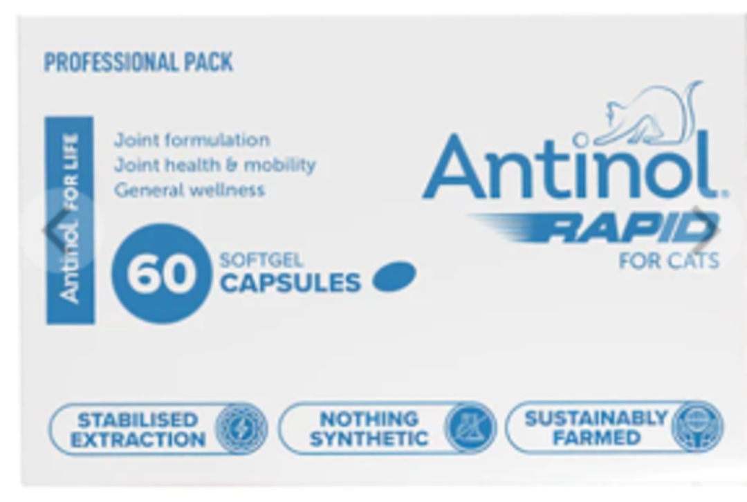 Antinol® Rapid for Cats 60 Capsules image 0
